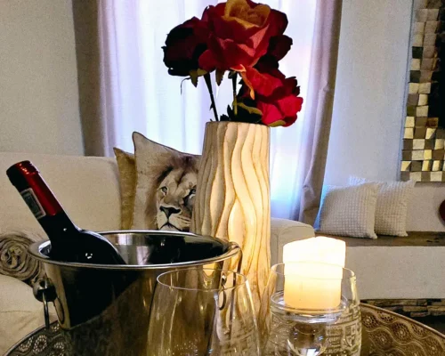 Gamagara Africa Private Celebrations The Brendel Family Collection luxury properties in South Africa