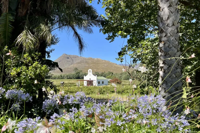 The Brendel Family Collection luxury properties in South Africa