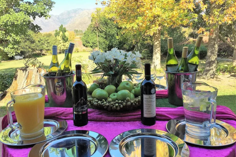 The Brendel Family Collection luxury properties in South Africa