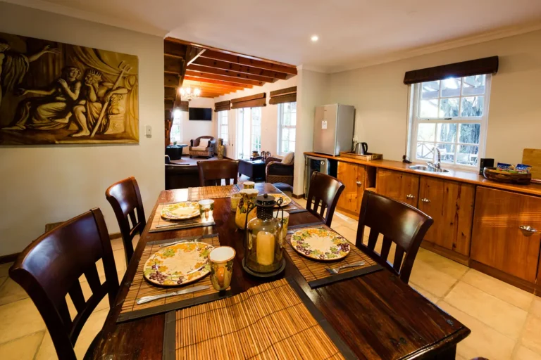 The Brendel Family Collection luxury properties in South Africa