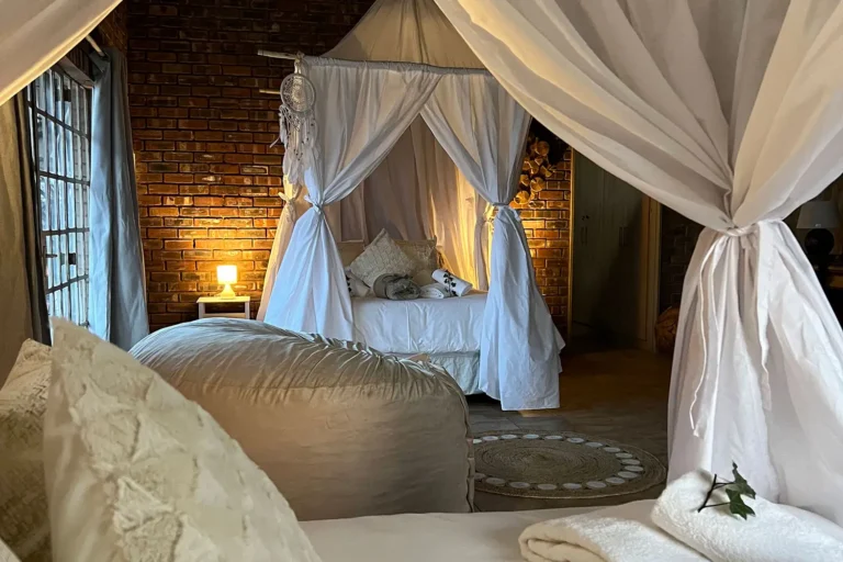 The Brendel Family Collection luxury properties in South Africa
