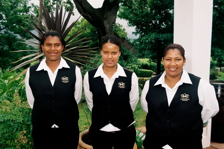 The Brendel Family Collection luxury properties in South Africa