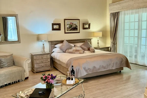 The Brendel Family Collection luxury properties in South Africa