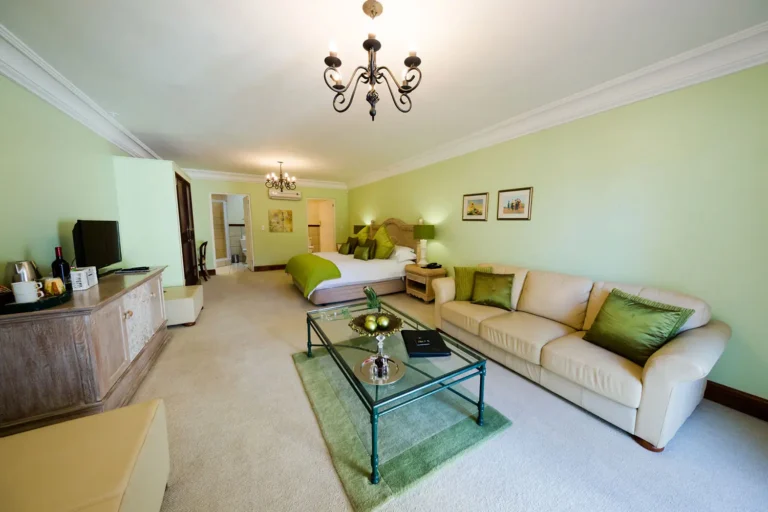 The Brendel Family Collection luxury properties in South Africa