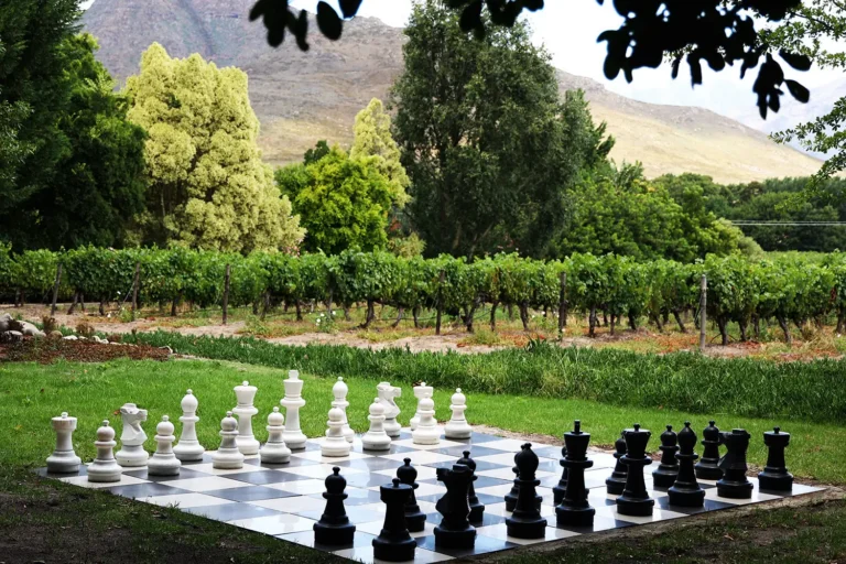 The Brendel Family Collection luxury properties in South Africa