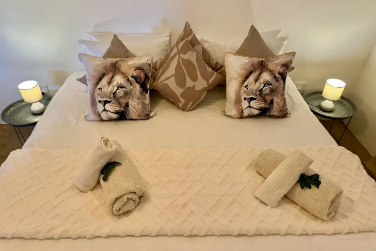The Brendel Family Collection luxury properties in South Africa