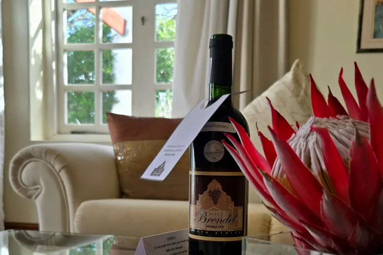 The Brendel Family Collection luxury properties in South Africa