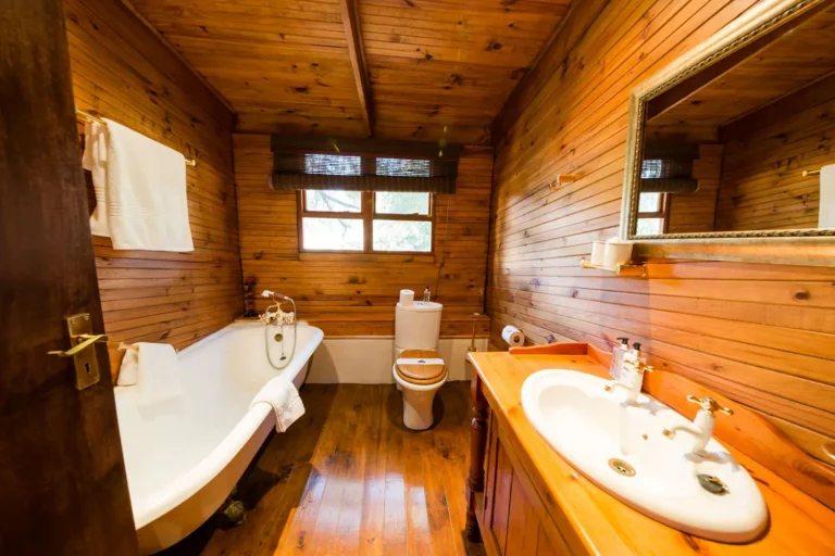 The Brendel Family Collection luxury properties in South Africa