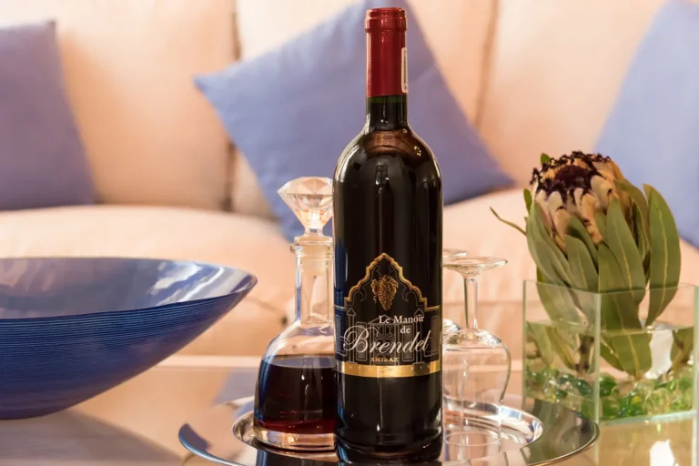 The Brendel Family Collection luxury properties in South Africa