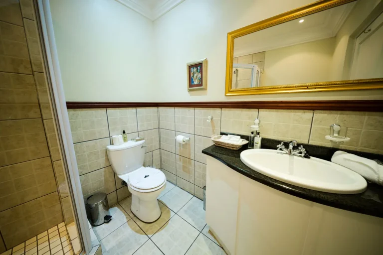 The Brendel Family Collection luxury properties in South Africa