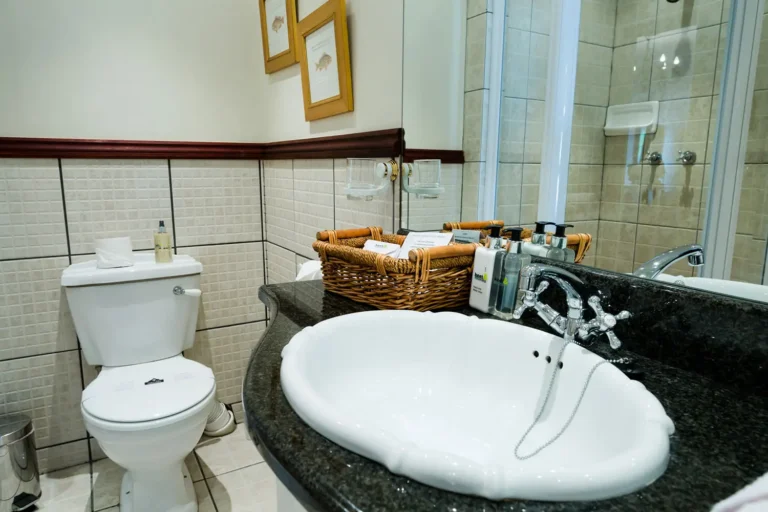 The Brendel Family Collection luxury properties in South Africa