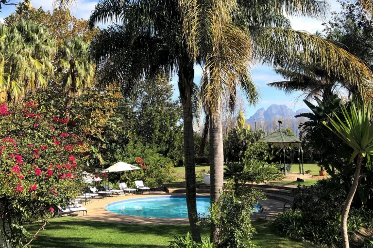 The Brendel Family Collection luxury properties in South Africa