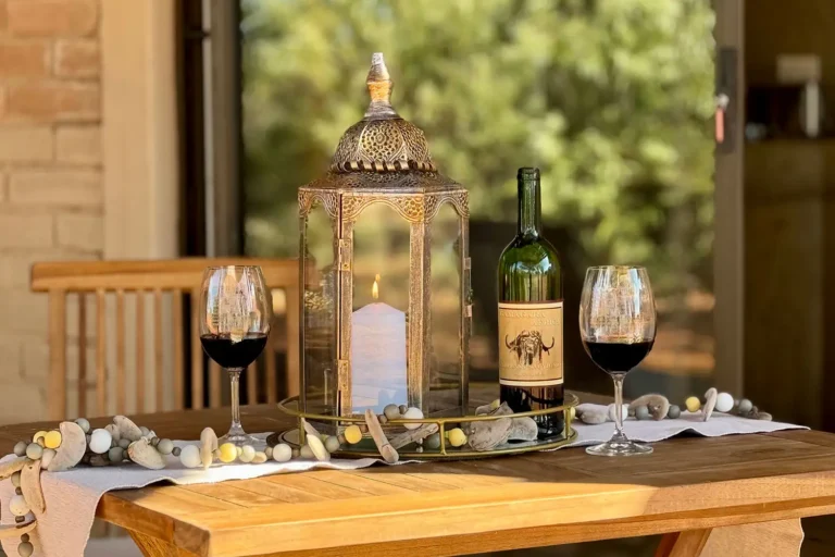 The Brendel Family Collection luxury properties in South Africa