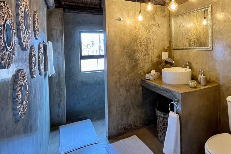 The Brendel Family Collection luxury properties in South Africa