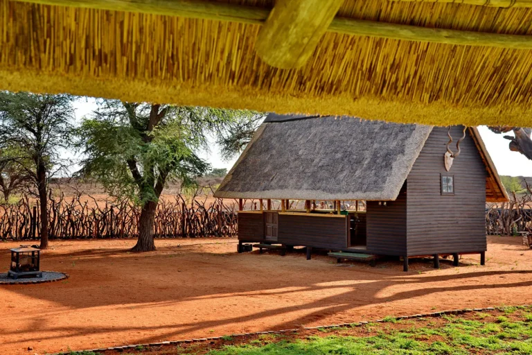 The Brendel Family Collection luxury properties in South Africa