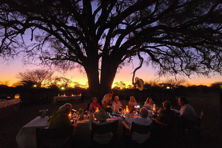 The Brendel Family Collection luxury properties in South Africa