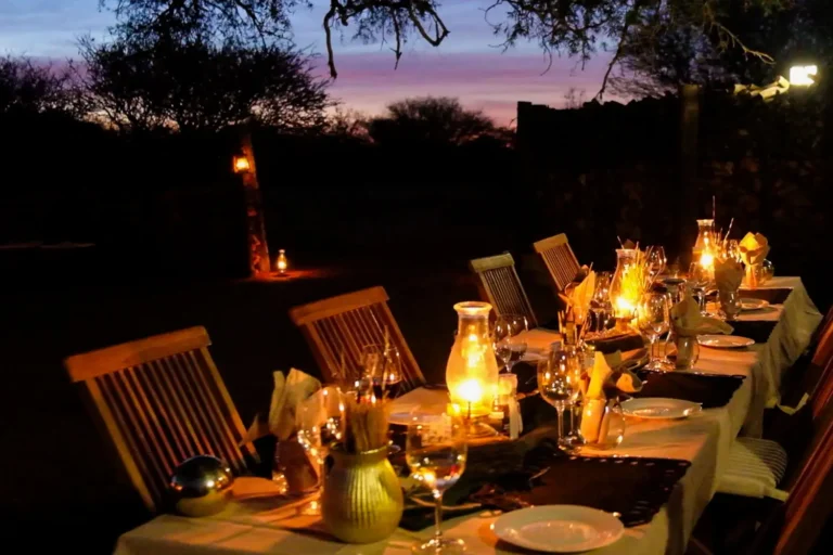 The Brendel Family Collection luxury properties in South Africa
