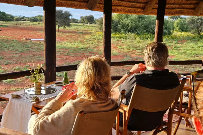 The Brendel Family Collection luxury properties in South Africa