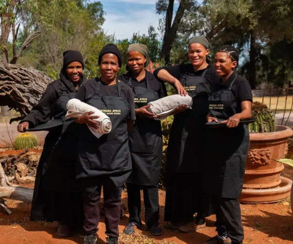 The Brendel Family Collection luxury properties in South Africa